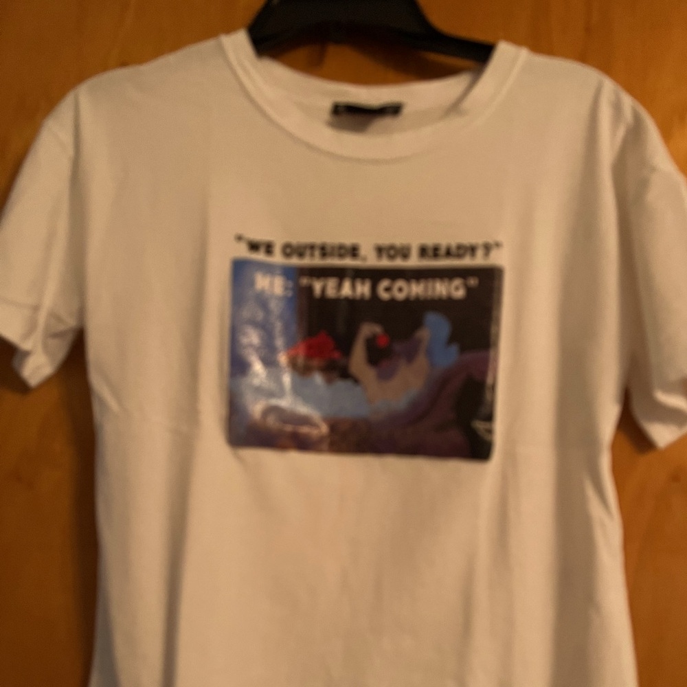 Zara Disney t-shirt